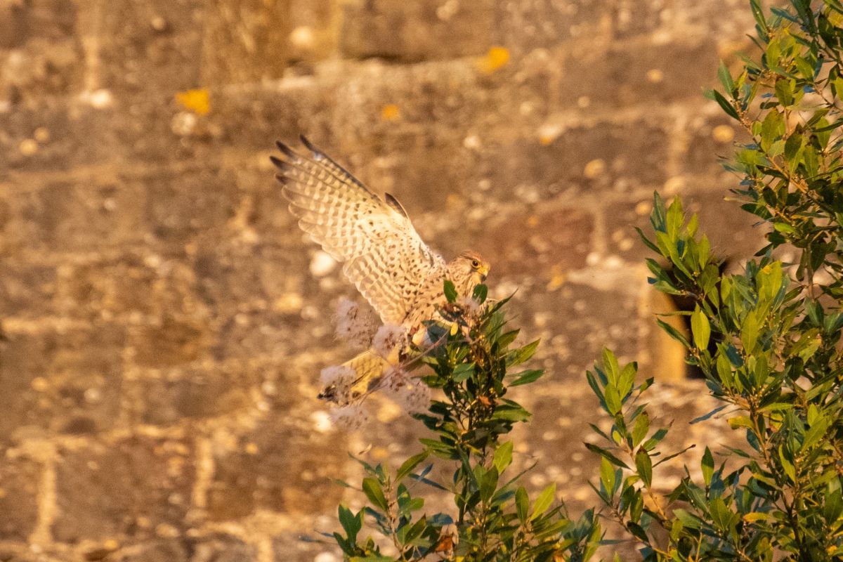 Photographie paysage, nature et environnement